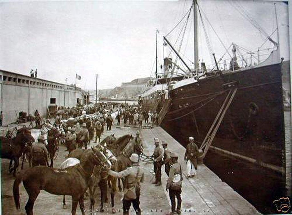 Oran- SDV- 0557.jpg